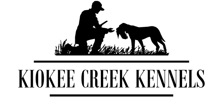 kck+white+logo